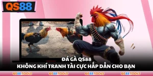 Đá Gà QS88 - Không Khí Tranh Tài Cực Hấp Dẫn Cho Bạn