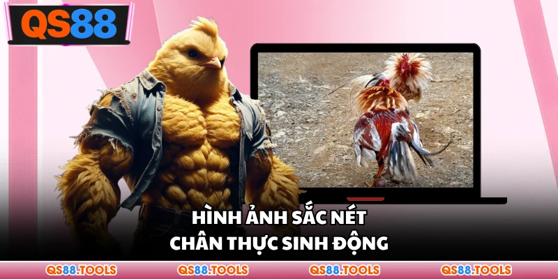 Hình ảnh sắc nét chân thực sinh động